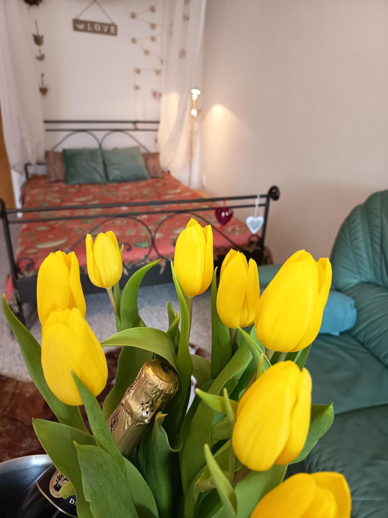 Apartment Divis73